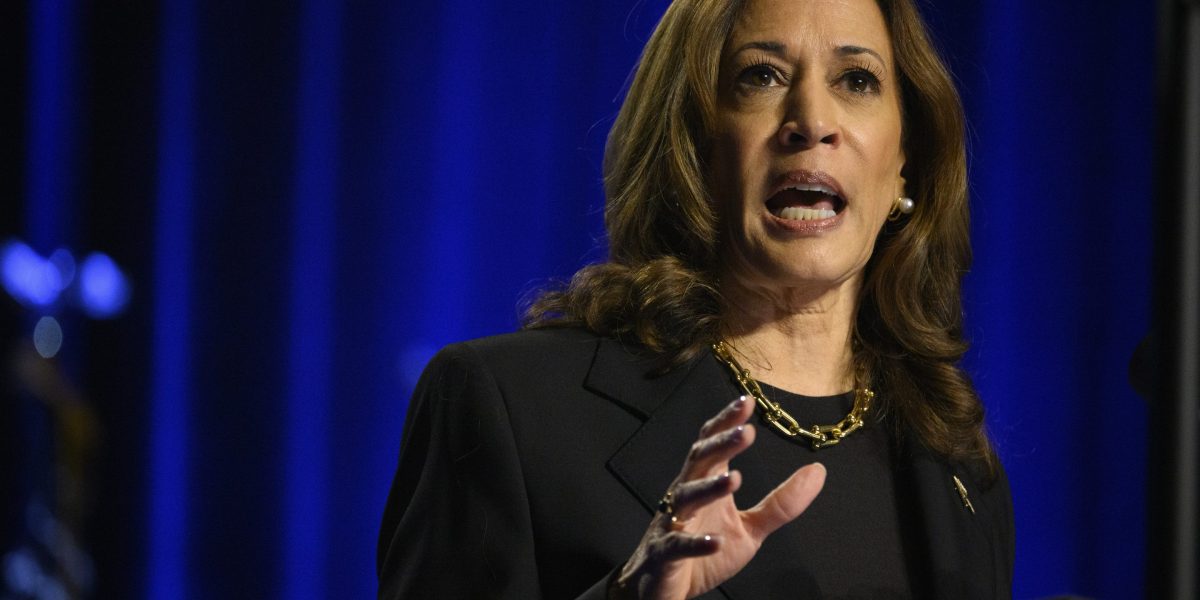 Kamala Harris is closing in on the perfect economic message—but the left’s price-gouging exaggerations could undermine it